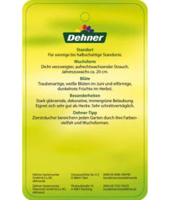 Portugiesischer Kirschlorbeer 'Angustifolia' -Gartenbedarf Verkäufe 2024 7362833 PortugiesischerKirschlorbeerAngustifolia Etikett 2