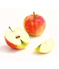 Herbstapfel 'Elstar' -Gartenbedarf Verkäufe 2024 7369164 WE DE 006 ApfelElstarDehnerExpressHerzig