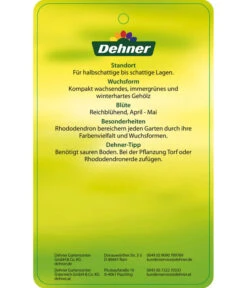 Rhododendron 'Morgenrot' -Gartenbedarf Verkäufe 2024 7447329 RhododendronMorgenrot Etikett 2