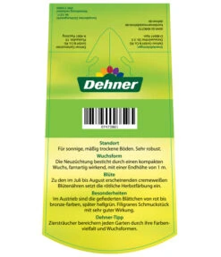 Fiederspiere 'Sem' 7 Fiederspiere 'Sem' -Gartenbedarf Verkäufe 2024 7473861 SorbariaSorbifoliaSem Etikett2