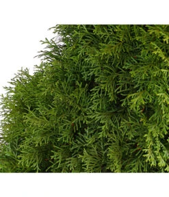 16 Meter Lebensbaum 'Smaragd', 40 X Ca. 125-150 Cm -Gartenbedarf Verkäufe 2024 7513534 WE DE 001 ThujaLebensbaumOccidentalisSmaragd20LDehnerExpressHerzig