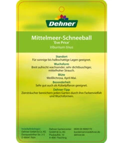 Mittelmeer-Schneeball, Stämmchen 7 Mittelmeer-Schneeball, Stämmchen -Gartenbedarf Verkäufe 2024 7539406 Mittelmeer SchneeballEvePrice Etikett 2