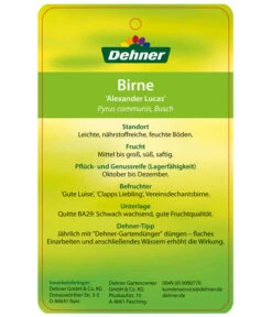 Winterbirne 'Alexander Lucas' 13 Winterbirne 'Alexander Lucas' -Gartenbedarf Verkäufe 2024 7602709 BirneAlexanderLucas Etikett 2