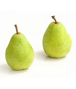 Winterbirne 'Alexander Lucas' 10 Winterbirne 'Alexander Lucas' -Gartenbedarf Verkäufe 2024 7602709 WE DE 007 BirneAlexanderLucasDehnerExpressHerzig