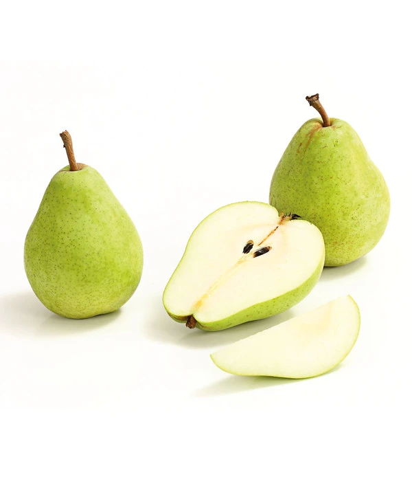 Winterbirne 'Alexander Lucas' 6 Winterbirne 'Alexander Lucas' – Bild 4