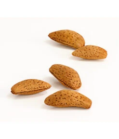 Mandelbaum 7 Mandelbaum -Gartenbedarf Verkäufe 2024 7603889 WE DE 002 MandelPalatinaPrunusDulcisDehnerExpressHerzig