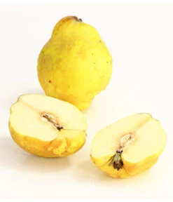 Birnenquitte 11 Birnenquitte -Gartenbedarf Verkäufe 2024 7612286 WE DE 003 BirnenquittePortugiesischeCydoniaOblonaDehnerExpressHerzig