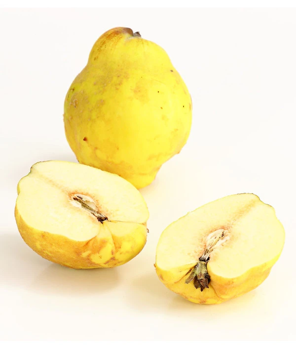 Birnenquitte 5 Birnenquitte – Bild 3