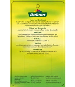 Sommerbirne 'Clapps Liebling' 7 Sommerbirne 'Clapps Liebling' -Gartenbedarf Verkäufe 2024 7625494 SommerbirneClappsLiebling Etikett 2