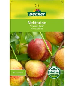 Nektarine 'Crimson Gold' -Gartenbedarf Verkäufe 2024 7626005 NektarineCrimsonGold Etikett 1