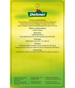 Aprikose 'Compacta' 9 Aprikose 'Compacta' -Gartenbedarf Verkäufe 2024 7626021 AprikoseCompacta Etikett 2