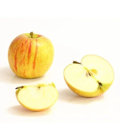 Winterapfel 'Cox Orange' 7 Winterapfel 'Cox Orange' -Gartenbedarf Verkäufe 2024 7626518 WE DE 006 ApfelCoxOrangeDehnerExpressHerzig