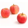 Herbstapfel 'Gala' -Gartenbedarf Verkäufe 2024 7645880 WE DE 005 ApfelGalaDehnerExpressHerzig