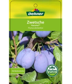 Zwetschge 'Haroma' -Gartenbedarf Verkäufe 2024 7662703 ZwetscheHaroma Etikett 1