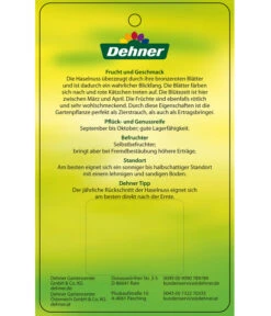 Dehner Haselnuss 'Rote Zellernuss' -Gartenbedarf Verkäufe 2024 7663073 HaselnussRoteZellernuss Etikett 2