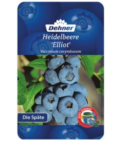 Heidelbeere 'Elliot' -Gartenbedarf Verkäufe 2024 7665227 HeidelbeereElliot Etikett 1