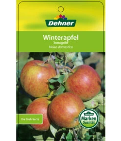 Winterapfel 'Jonagold' 12 Winterapfel 'Jonagold' -Gartenbedarf Verkäufe 2024 7691645 WinterapfelJonagold Etikett 1