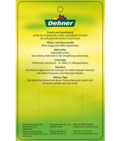 Zwetschge 'Jojo' -Gartenbedarf Verkäufe 2024 7692635 ZwetscheJojo Etikett 2