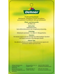 Zwetschge 'Katinka' -Gartenbedarf Verkäufe 2024 7693252 ZwetscheKatinka Etikett 2