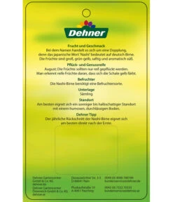 Nashi-Birne 'Nijiseiki' -Gartenbedarf Verkäufe 2024 7719826 Nashi BirneNijiseiki Etikett 2