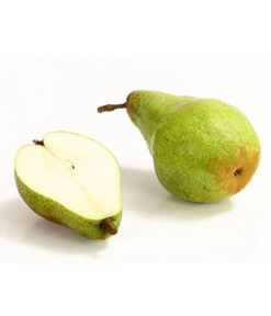 Winterbirne 'Novembra' 7 Winterbirne 'Novembra' -Gartenbedarf Verkäufe 2024 7723695 WE DE 004 BirneNovemberDehnerExpressHerzig