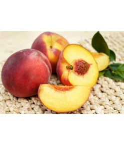 Gelbfleischiger Pfirsich 11 Gelbfleischiger Pfirsich -Gartenbedarf Verkäufe 2024 7728843 PR FS 001 GelbfleischigerPfirsichPixabay