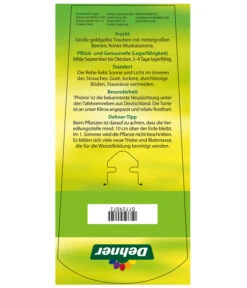 Tafeltraube 'Phönix' -Gartenbedarf Verkäufe 2024 7729072 TafeltraubePhoenix Etikett2