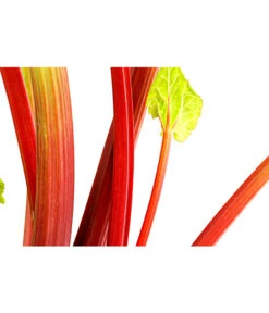 Dehner Gourmet Garten Himbeer-Rhabarber 8 Dehner Gourmet Garten Himbeer-Rhabarber -Gartenbedarf Verkäufe 2024 7736028 PR DE 002 RhabarberHimbeere2LiterDehnerExpressHerzig