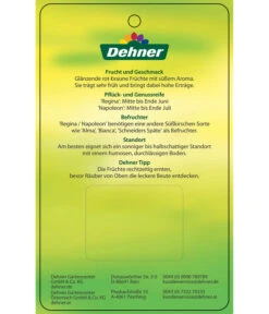 Kirschen-Duo 'Regina/Napoleon' -Gartenbedarf Verkäufe 2024 7738792 Suesskirschen DuoReginaNapoleon Etikett 2