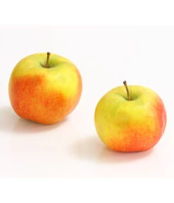 Säulenapfel 'Rondo' 6 Säulenapfel 'Rondo' -Gartenbedarf Verkäufe 2024 7744873 WE DE 001 ApfelRondoDehnerExpressHerzig