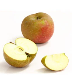 Winterapfel 'Roter Boskoop' -Gartenbedarf Verkäufe 2024 7745409 WE DE 002 ApfelBoskoopDehnerExpressHerzig