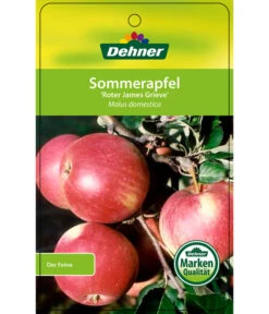 Sommerapfel 'Roter James Grieve' -Gartenbedarf Verkäufe 2024 7745730 SommerapfelRoterJamesGrieve Etikett 1