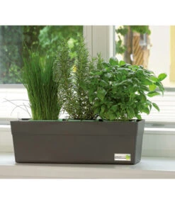 GREENBAR® Ersatzvlies, 3er-Pack 18 GREENBAR® Ersatzvlies, 3er-Pack -Gartenbedarf Verkäufe 2024 7750482 PR MO 001 GreenbarAnleitungIndoorSeidl 1