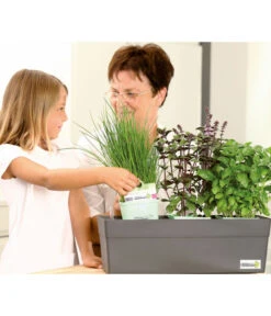 GREENBAR® Naschtomate 7 GREENBAR® Naschtomate -Gartenbedarf Verkäufe 2024 7750482 WE MO 009 GreenbarAnleitungIndoor