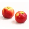 Allergikerapfel 'Santana' -Gartenbedarf Verkäufe 2024 7750631 WE DE 003 ApfelSantanaDehnerExpressHerzig