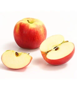 Allergikerapfel 'Santana' -Gartenbedarf Verkäufe 2024 7750631 WE DE 004 ApfelSantanaDehnerExpressHerzig