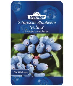 Maibeere -Gartenbedarf Verkäufe 2024 7756448 SibirischeBlaubeerePolina Etikett 1