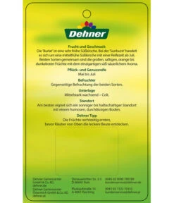 Kirschen-Duo 'Sunburst/Burlat' -Gartenbedarf Verkäufe 2024 7760713 Suesskirschen DuoSunburstBurlat Etikett 2