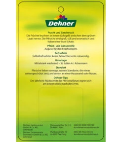 Pfirsich 'Suncrest' 9 Pfirsich 'Suncrest' -Gartenbedarf Verkäufe 2024 7760754 GelbfleischigerPfirsichSuncrest Etikett 2