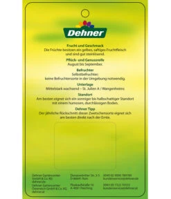 Zwetschge 'Kulinaria-Toptaste' -Gartenbedarf Verkäufe 2024 7763881 ZwetscheKulinariaToptaste Etikett 2