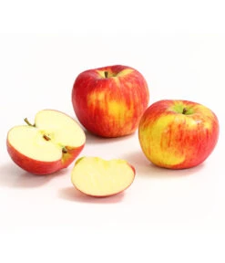 Herbstapfel 'Topaz' -Gartenbedarf Verkäufe 2024 7763931 WE DE 008 ApfelTopazDehnerExpressHerzig