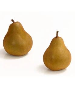 Winterbirne 'Uta' -Gartenbedarf Verkäufe 2024 7769854 WE DE 003 BirneUtaDehnerExpressHerzig