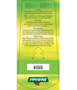 Tafeltraube 'Georg' -Gartenbedarf Verkäufe 2024 7773575 TafeltraubeGeorg Etikett 2