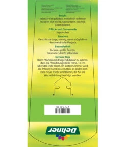 Tafeltraube 'Katharina' -Gartenbedarf Verkäufe 2024 7773716 TafeltraubeKatharina Etikett 2