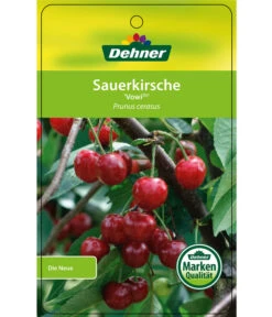 Sauerkirsche 'Vowi' -Gartenbedarf Verkäufe 2024 7773757 SauerkirscheVowi Etikett 1