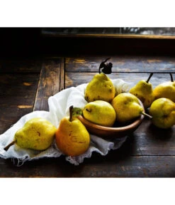 Sommerbirne 'Williams Christ' -Gartenbedarf Verkäufe 2024 7780539 WE MO 001 PyrusBirneWilliamsChrist