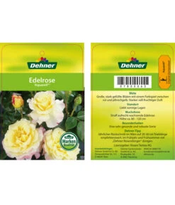 Edelrosen-Mix 'Nostalgie®' 27 Edelrosen-Mix 'Nostalgie®' -Gartenbedarf Verkäufe 2024 7800063 AquarellEdelrose Etikett1