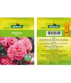 Edelrosen-Mix 'Nostalgie®' 28 Edelrosen-Mix 'Nostalgie®' -Gartenbedarf Verkäufe 2024 7800063 AshleyEdelrose Etikett1