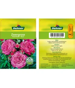 Edelrosen-Mix 'Nostalgie®' 32 Edelrosen-Mix 'Nostalgie®' -Gartenbedarf Verkäufe 2024 7800063 HeidiKlumZwergrose Etikett1