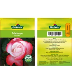 Edelrosen-Mix 'Nostalgie®' 33 Edelrosen-Mix 'Nostalgie®' -Gartenbedarf Verkäufe 2024 7800063 NostalgieEdelrose Etikett1